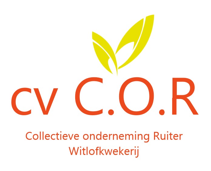 Logo-cv-C.O.R_